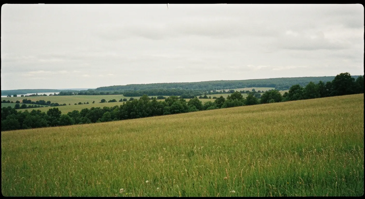 Jakie warunki uprawy sprzyjają szybszemu i obfitszemu kwitnieniu kielichowca?